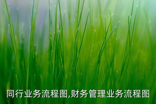 单货同行业务流程图,财务管理业务流程图
