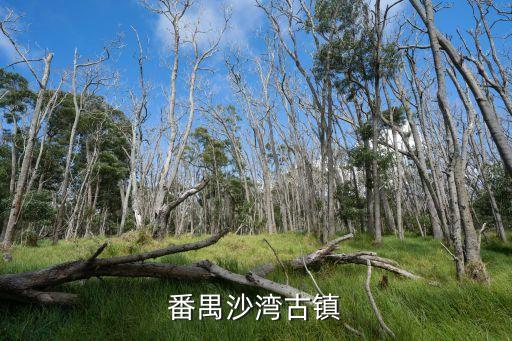 广州番禺沙湾古镇