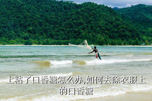 上粘了口香糖怎么办,如何去除衣服上的口香糖