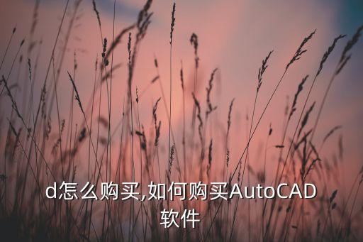 cad怎么购买,如何购买AutoCAD软件?