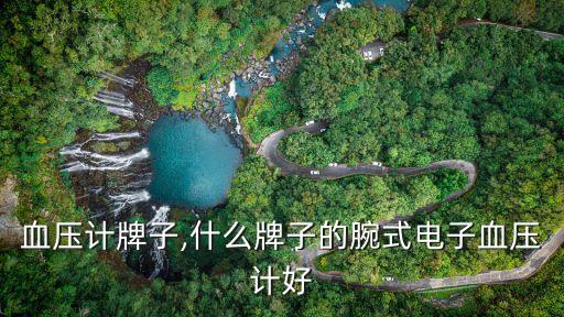 家用血压计牌子,什么牌子的腕式电子血压计好?