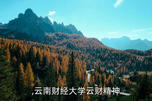 ,云南财经大学云财精神