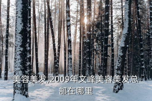 宁波美容美发,2009年文峰美容美发总部在哪里?