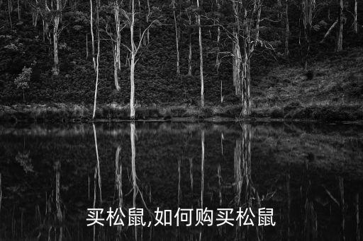 买松鼠,如何购买松鼠