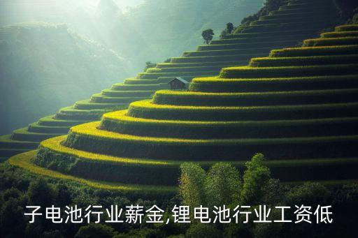 子电池行业薪金,锂电池行业工资低