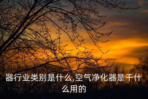 器行业类别是什么,空气净化器是干什么用的