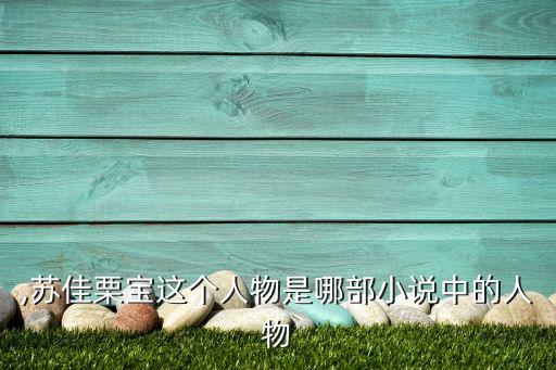 栗宝,苏佳栗宝这个人物是哪部小说中的人物?