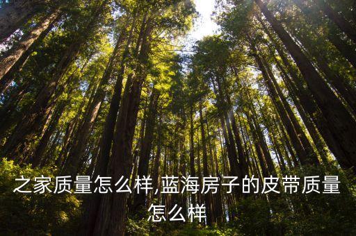 之家质量怎么样,蓝海房子的皮带质量怎么样