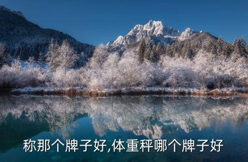 称那个牌子好,体重秤哪个牌子好