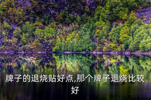 什么牌子的退烧贴好点,那个牌子退烧比较好