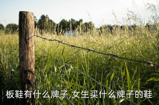 板鞋有什么牌子,女生买什么牌子的鞋