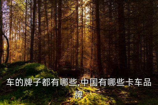 大货车的牌子都有哪些,中国有哪些卡车品牌?