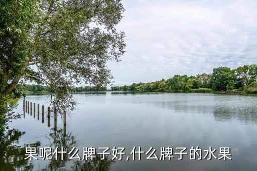 打水果呢什么牌子好,什么牌子的水果