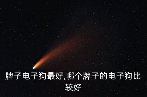 牌子电子狗最好,哪个牌子的电子狗比较好