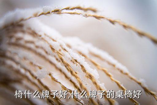 椅什么牌子好,什么牌子的桌椅好