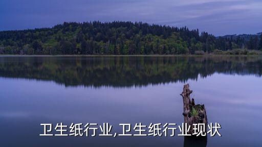 卫生纸行业,卫生纸行业现状