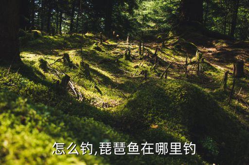 怎么钓,琵琶鱼在哪里钓