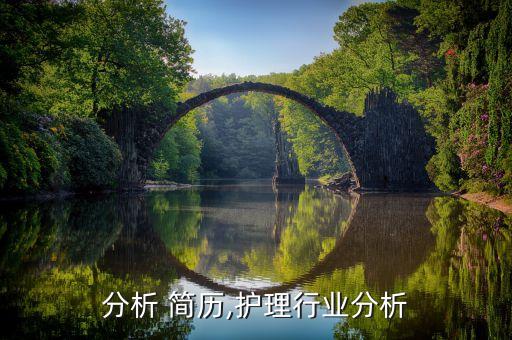 行业分析 简历,护理行业分析