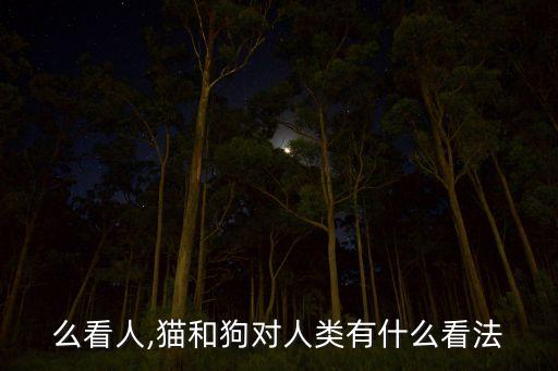 么看人,猫和狗对人类有什么看法