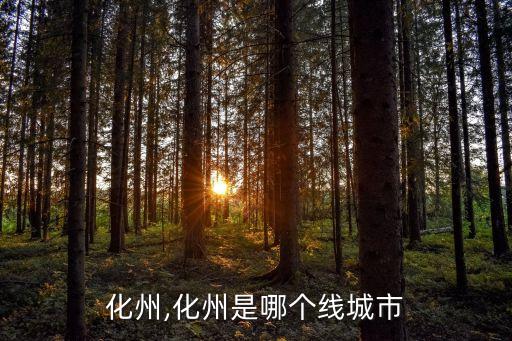 广东化州,化州是哪个线城市?