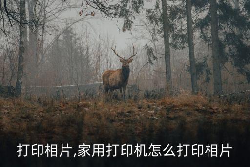 怎么打印相片,家用打印机怎么打印相片