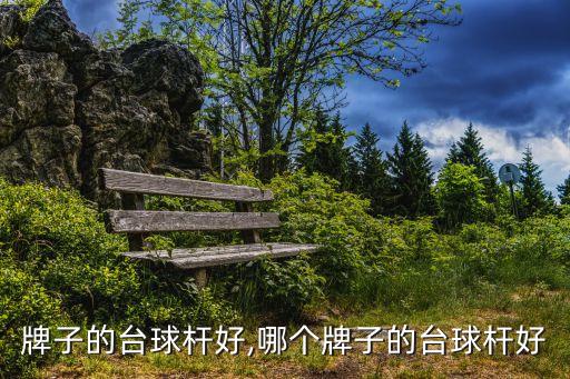 牌子的台球杆好,哪个牌子的台球杆好