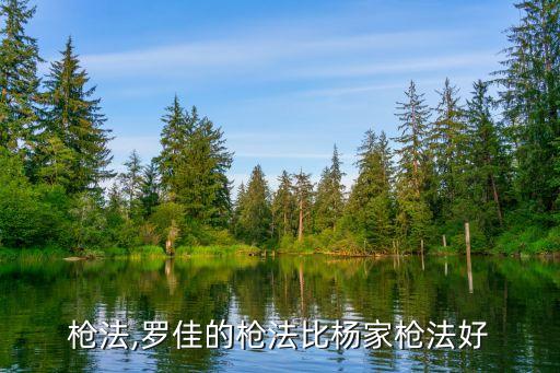 枪法,罗佳的枪法比杨家枪法好