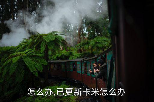 怎么办,已更新卡米怎么办