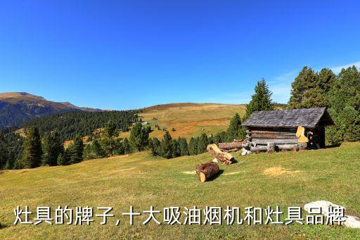 烟机灶具的牌子,十大吸油烟机和灶具品牌