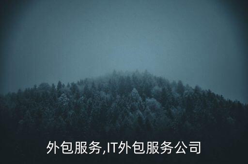 it外包服务,IT外包服务公司