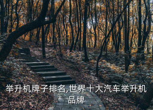 举升机牌子排名,世界十大汽车举升机品牌