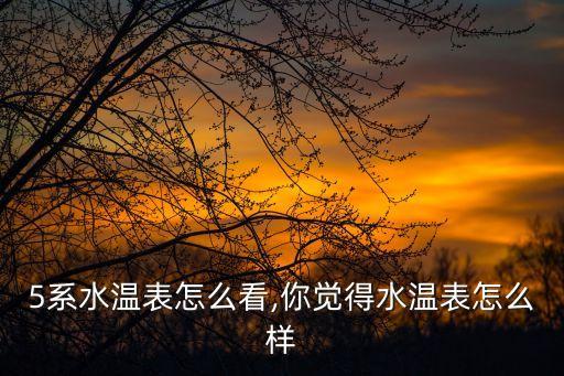 5系水温表怎么看,你觉得水温表怎么样