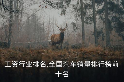 汽车工资行业排名,全国汽车销量排行榜前十名