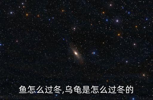 小甲鱼怎么过冬,乌龟是怎么过冬的?