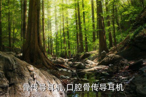 口腔骨传导耳机,口腔骨传导耳机