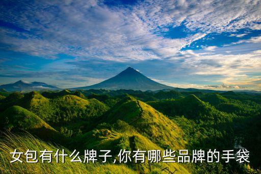 真皮女包有什么牌子,你有哪些品牌的手袋?
