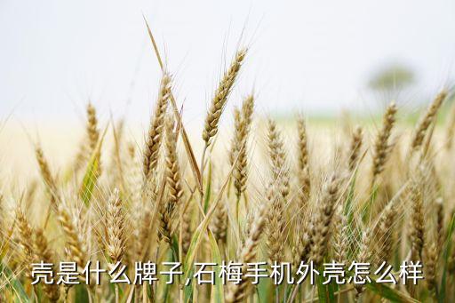 壳是什么牌子,石梅手机外壳怎么样