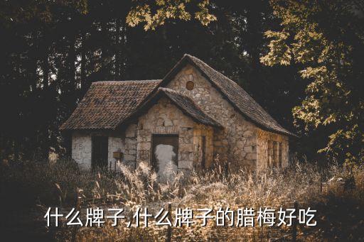 蜜饯什么牌子,什么牌子的腊梅好吃?