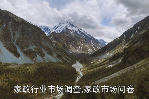 家政行业市场调查,家政市场问卷