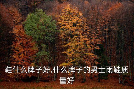 男雨鞋什么牌子好,什么牌子的男士雨鞋质量好?