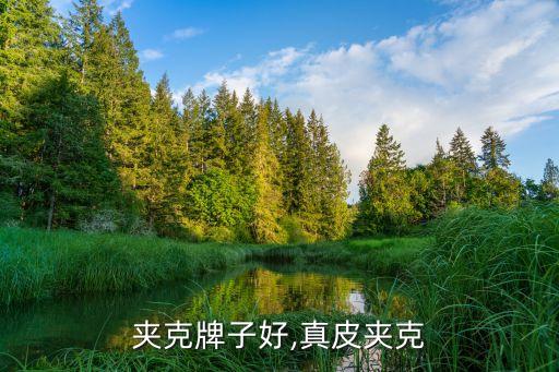 夹克牌子好,真皮夹克