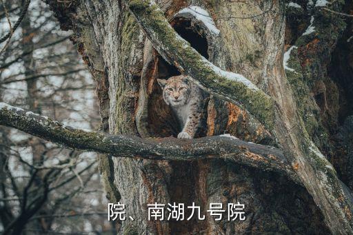 院、南湖九号院