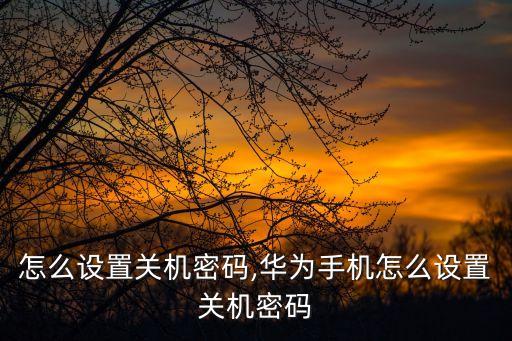 怎么设置关机密码,华为手机怎么设置关机密码