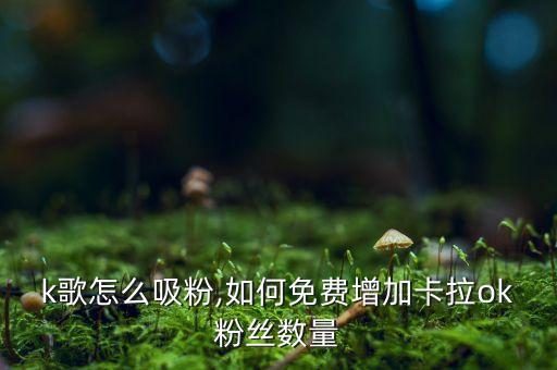 k歌怎么吸粉,如何免费增加卡拉ok粉丝数量