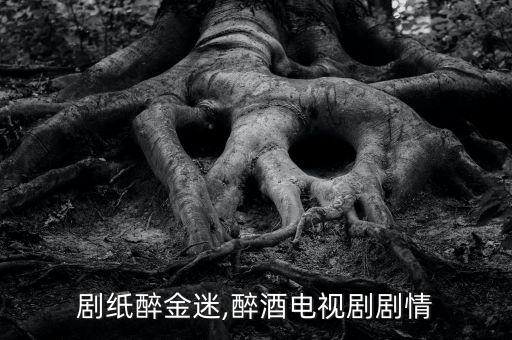 电视剧纸醉金迷,醉酒电视剧剧情