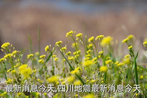 地震最新消息今天,四川地震最新消息今天