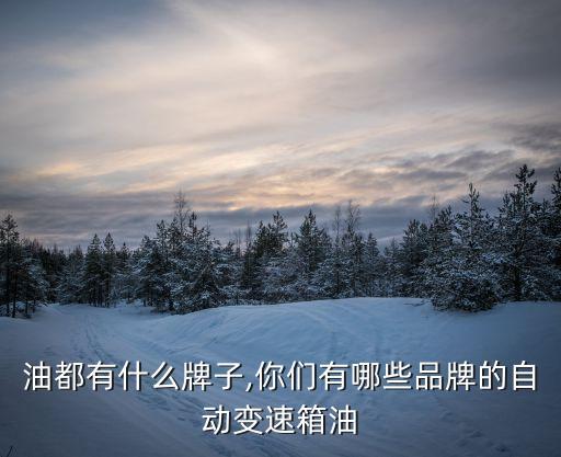 波箱油都有什么牌子,你们有哪些品牌的自动变速箱油?