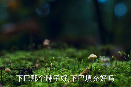 填充下巴那个牌子好,下巴填充好吗?