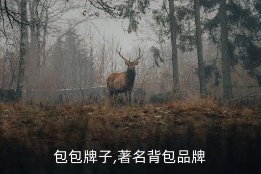 双肩包包牌子,著名背包品牌