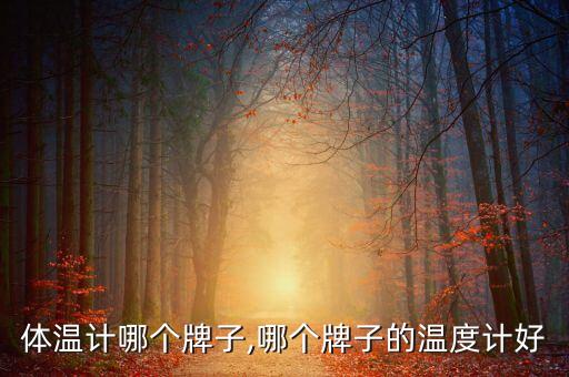 体温计哪个牌子,哪个牌子的温度计好